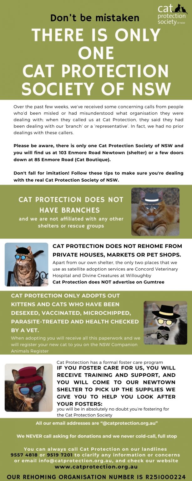 Cat Protection Society of NSW