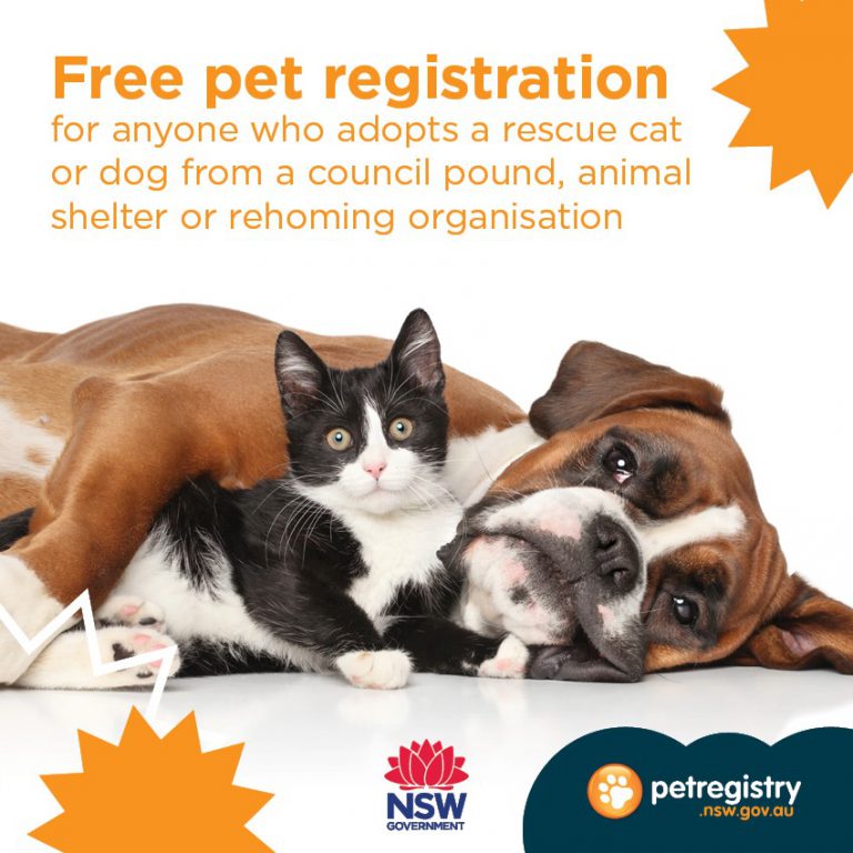 Cat Protection Society of NSW