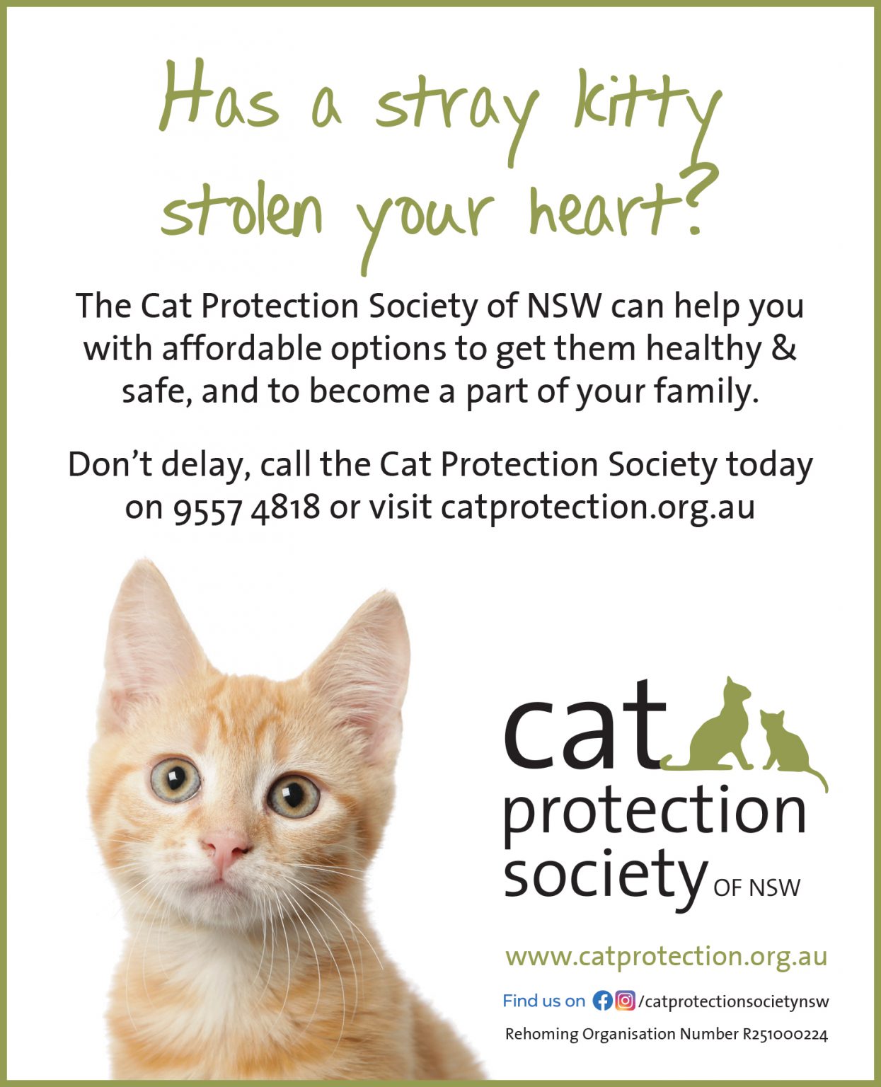 Cat Protection Society Of Nsw