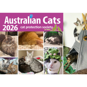 Australian Cats Calendar 2026