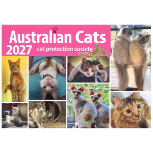 Australian Cats Calendar 2027